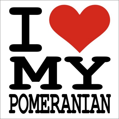 I love sale my pomeranian